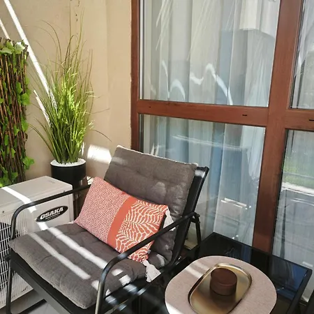 Summer 圣弗拉斯
